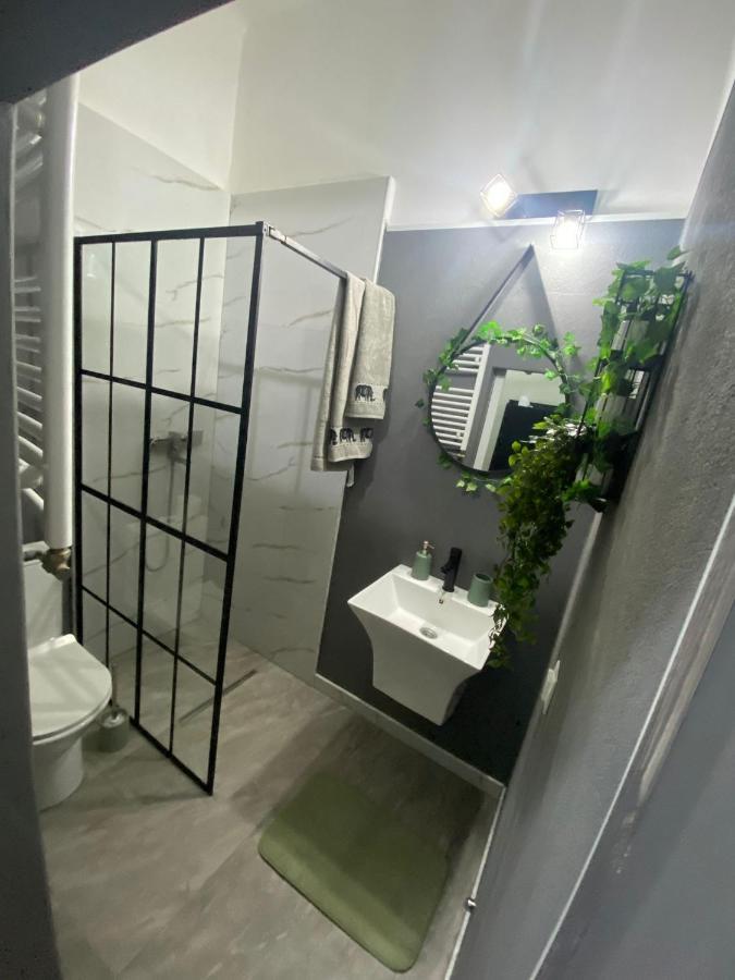 Green Vibes Central Брашов Екстериор снимка