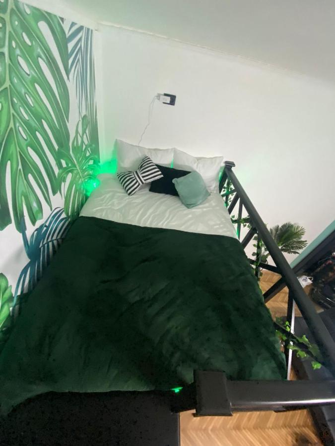 Green Vibes Central Брашов Екстериор снимка